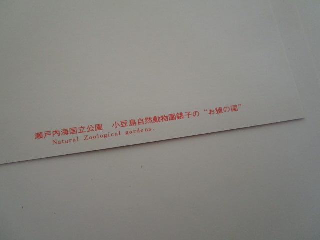 ���g�� ������ ���˓��C�������� �G�͂��� 14�� ���g�p �̎ʐ^8