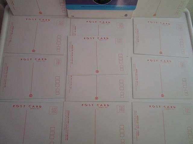 ���g�� �V�̋��� �ዷ�p������� �G�͂��� 12�� ���g�p �̎ʐ^7