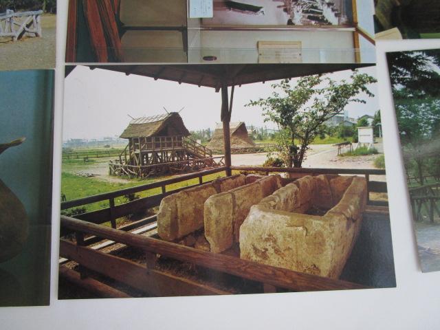 ���g�� �o�C��� �G�͂��� 10�� �̎ʐ^4