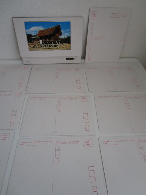 ���g�� �o�C��� �G�͂��� 10�� �̎ʐ^5