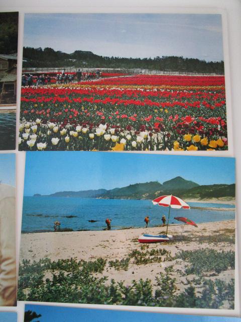 ���g�� �O�㔼���߂��� �G�͂��� 9�� �̎ʐ^2