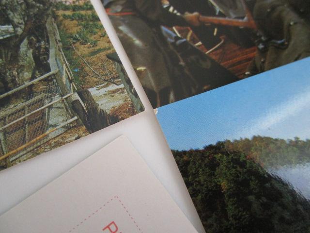 ���g�� �O�㔼���߂��� �G�͂��� 9�� �̎ʐ^5