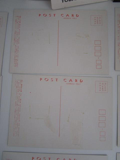 ���g�� �،��@��{�R ���厛 �G�͂��� 16�� �̎ʐ^5