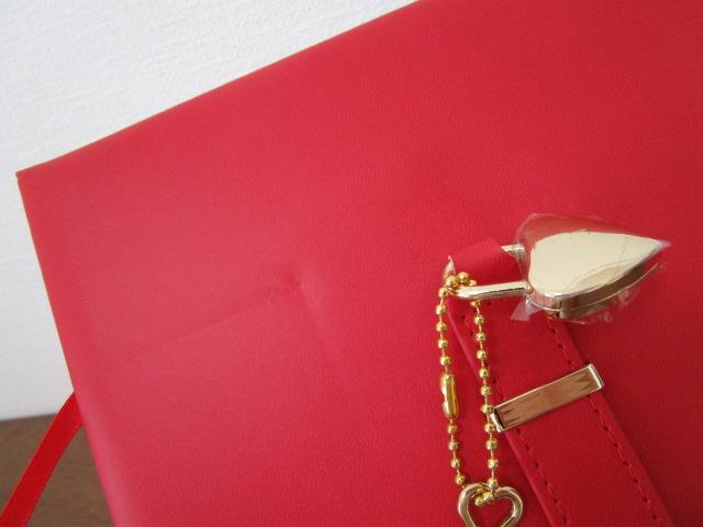 �t���C���O�^�C�K�[ Dagbog Diary ���t���_�C�A���[ �� ���g�p �̎ʐ^7