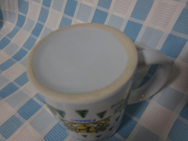 �h�C�c�E�N���X�}�X�}�[�P�b�g �}�O�J�b�v Deutscher Weihnachtsmarkt Osaka �̎ʐ^5