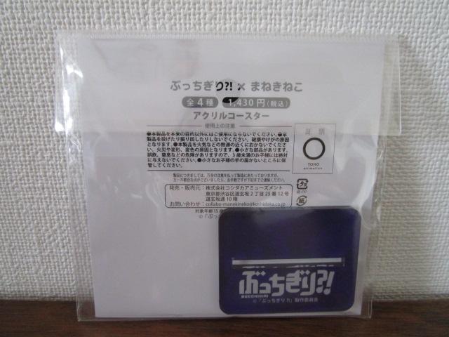 �Ԃ�������?! �~ �܂˂��˂� ��ω��^�� �A�N�����R�[�X�^�[ ���g�p �̎ʐ^2