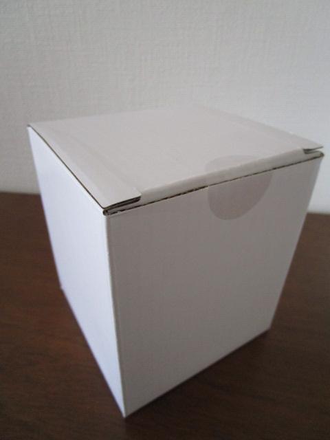 ���J�� ��t�]�ٔ� �J�v���� �A�N�����^���u���[ ���������m�� �̎ʐ^3