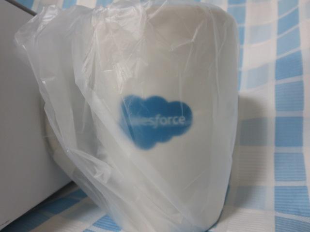 Salesforce �m�x���e�B�}�O�J�b�v Astro �u���[ �̎ʐ^3