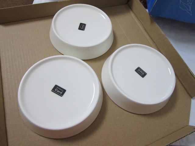 �t���C�h�f�B�b�V���Z�b�g �A���E�F�C ���g�p �̎ʐ^5